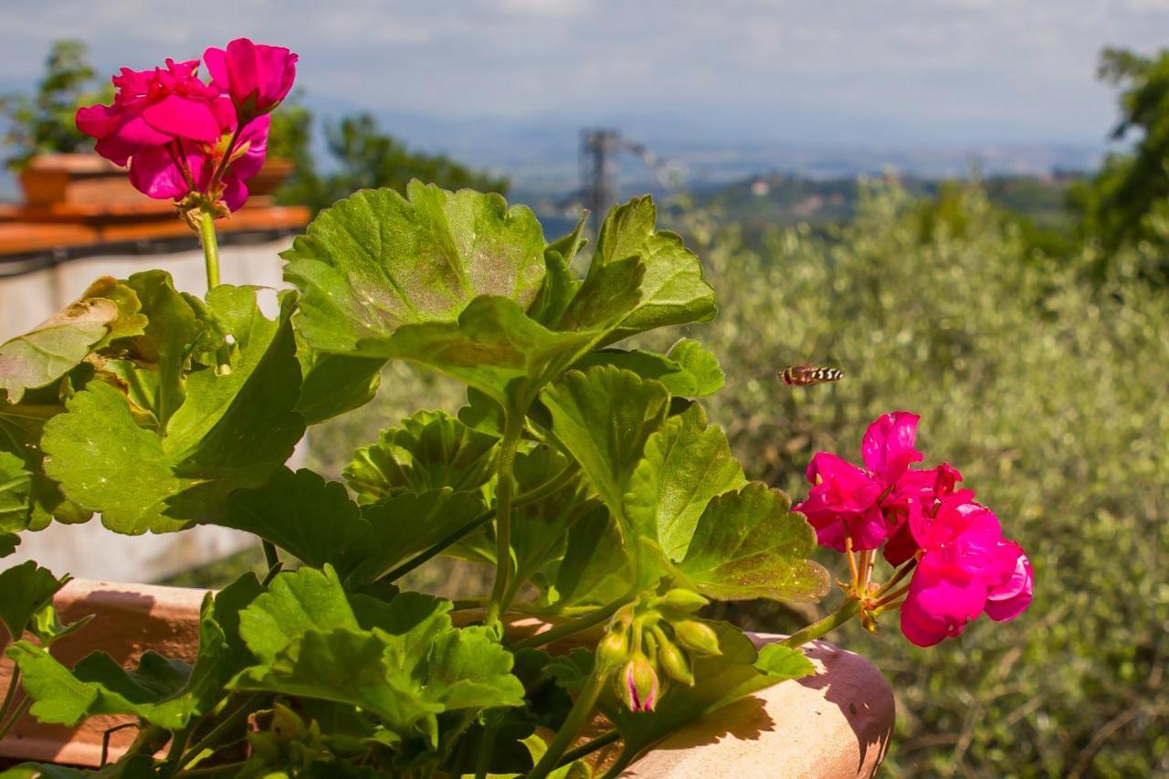 Poggio Della Roverella Country House Morlupo Dış mekan fotoğraf